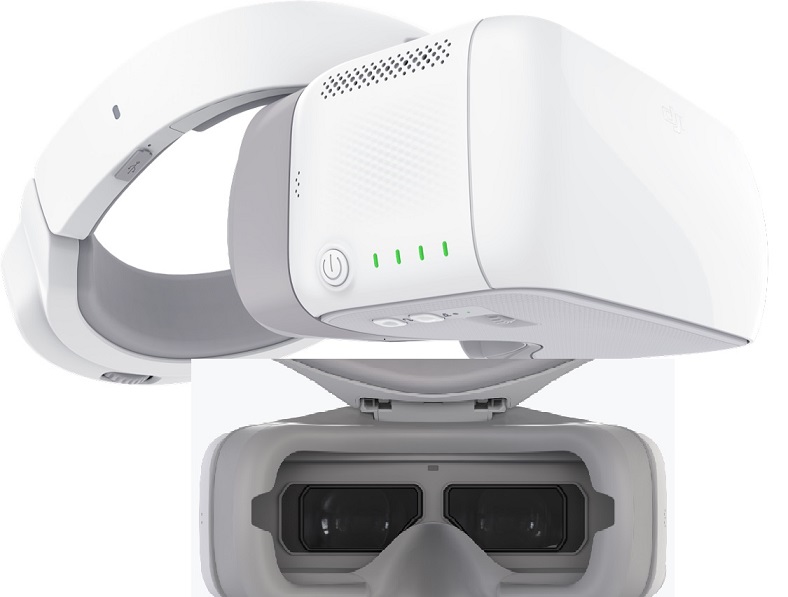 DJI Goggles
